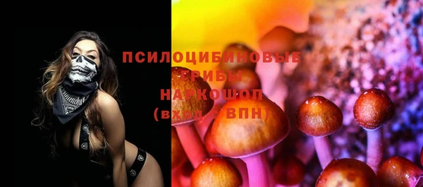 mdpv Слюдянка
