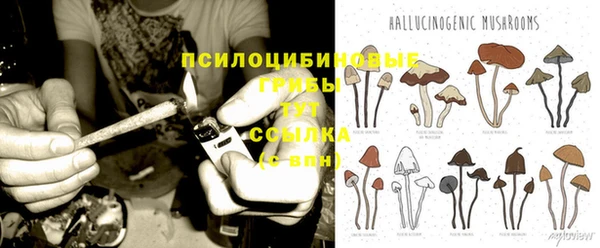 гашик Снежногорск