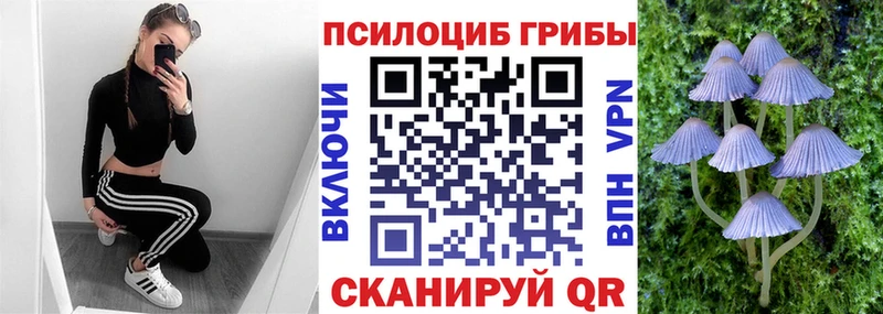 Псилоцибиновые грибы мухоморы Кувшиново